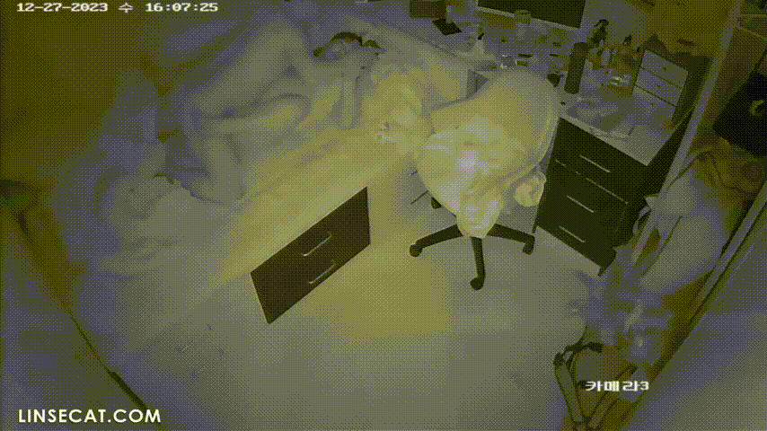 IP신작 ✨ 아빠와 엄마 그리고 딸_근친가족 미리보기 6