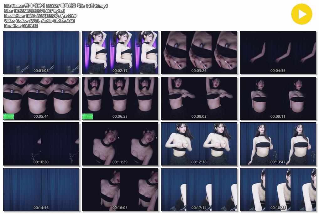 팬더 예냥이 26.03.27 꼭지노출 실수 미리보기 3