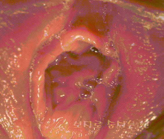 보지로 숨쉬는 년 미리보기 4
