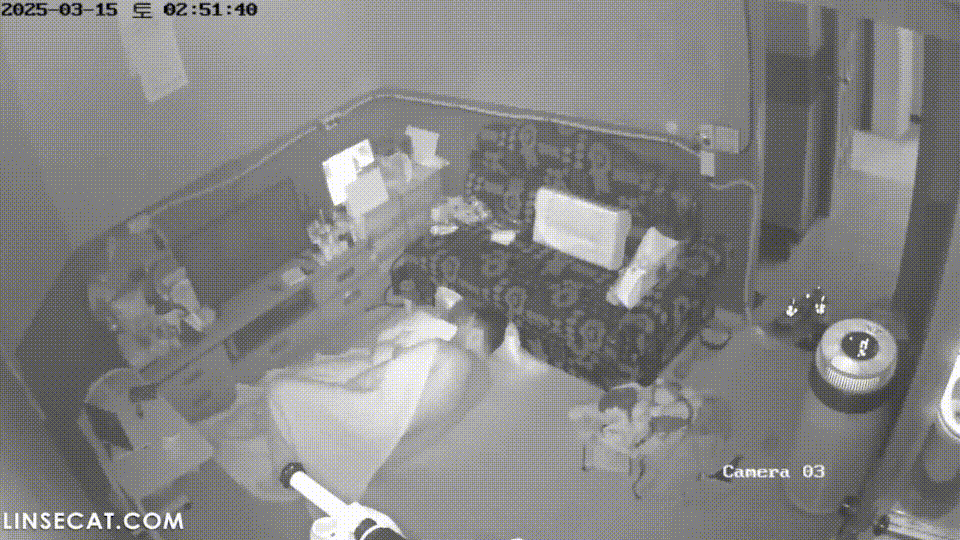 IP신작 ✨25년작_BAR대기실.사장님섹스/탈의녀들 미리보기 6