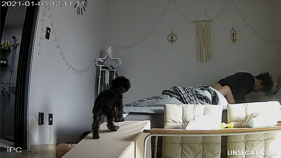 IP 몸매좋은 여친 [자취방] 미리보기 2