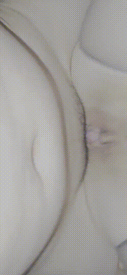 진정한 미시의 맛⚡️고래보지.분수.애널섹스 미리보기 9