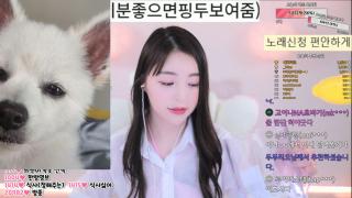 예전 [고이나] 지금은 팬더 [하늘]_기분좋으면 핑두보여주던 방송