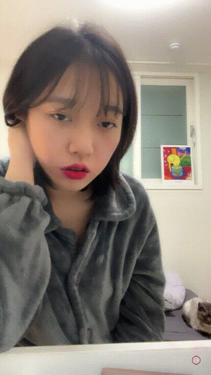 아프리카 2024.10.12 definst [강종] 1/2