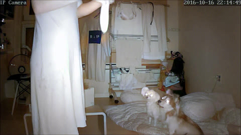 IP 호박 자위_원본 그리고 AI채색