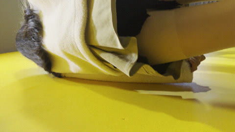 직접촬영_속옷무늬까지보이는 팬티 업스