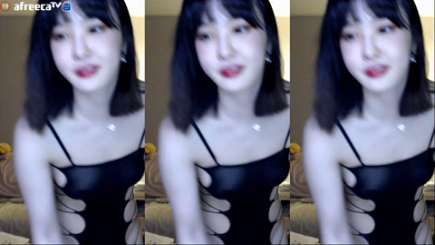 아프리카 BJ푸들정 시스루 유륜패치 [다보임]