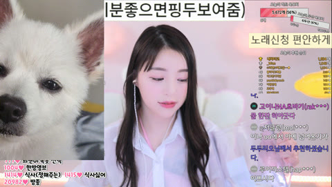 예전 [고이나] 지금은 팬더 [하늘]_기분좋으면 핑두보여주던 방송