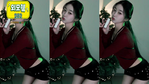 하니니_24.12.22 하네스